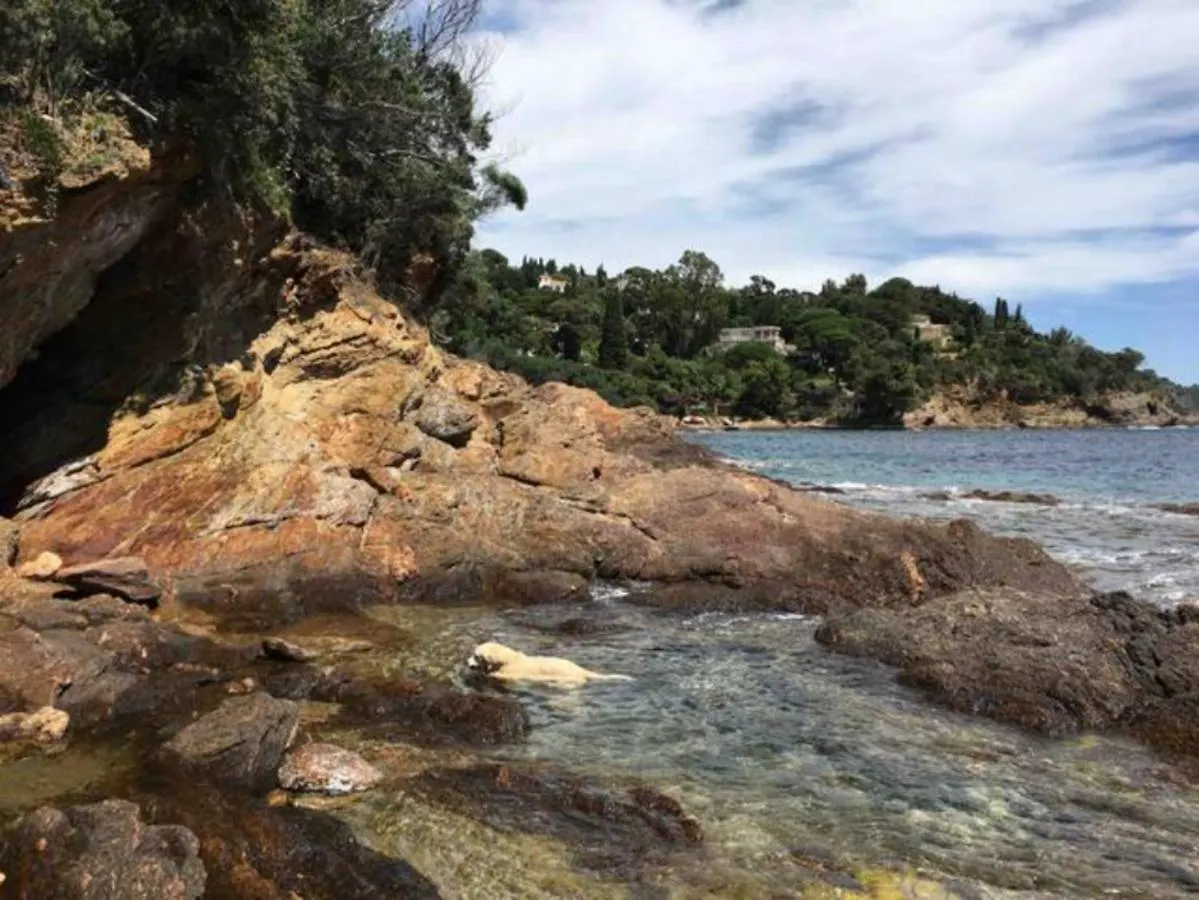 Villa Les Alizes Rayol-Canadel-sur-Mer Apartment